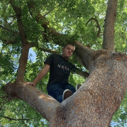 James Renouf picture (in a tree)